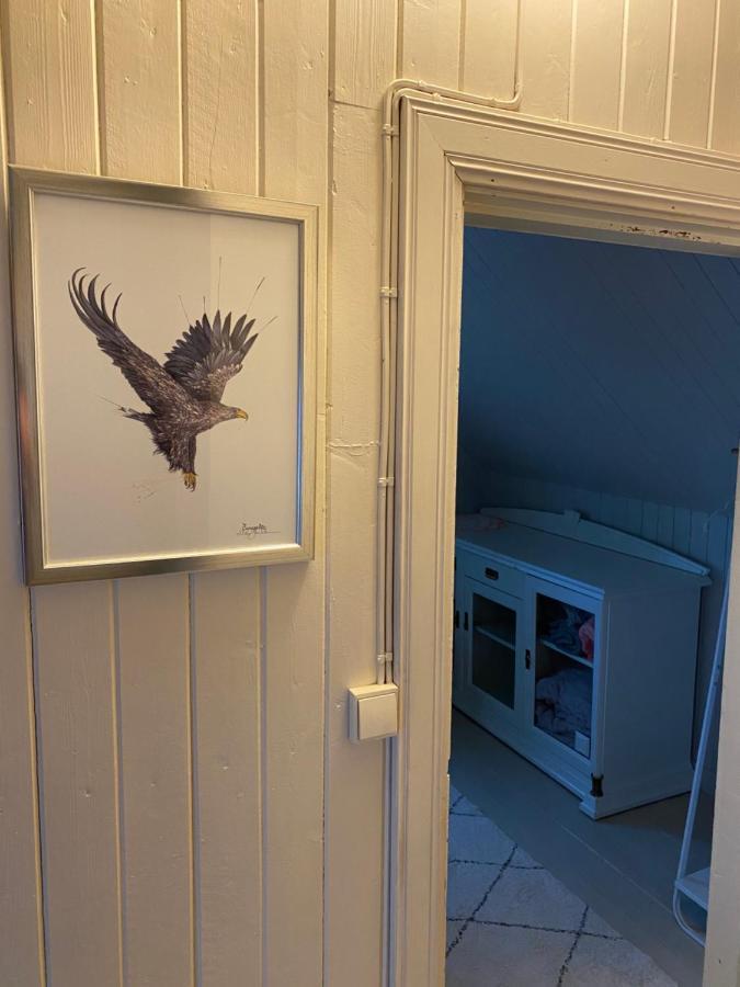 Nordlandshuset "Lottebakken", Ballstad In Lofoten Luaran gambar