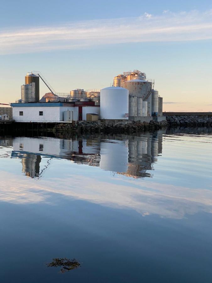 Nordlandshuset "Lottebakken", Ballstad In Lofoten Luaran gambar