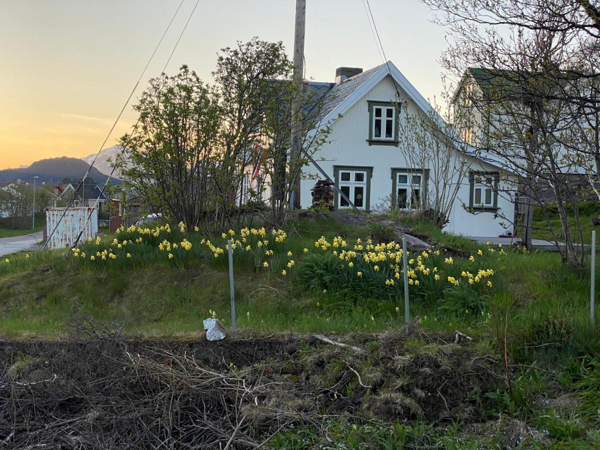 Nordlandshuset "Lottebakken", Ballstad In Lofoten Luaran gambar